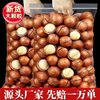 New Arrival Macadamia Nuts Wholesale 500g Containing Packaged Creamy Extra Large Granular Dried Fruits Whole Box Bulk Snacks