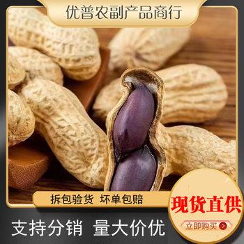 New Arrival, Shelled Black Peanuts, Original Black Purple-Skinned Peanuts, Self-Grown Black Peanuts, Farm-Produced Sun-Dried Products, Dropshipping