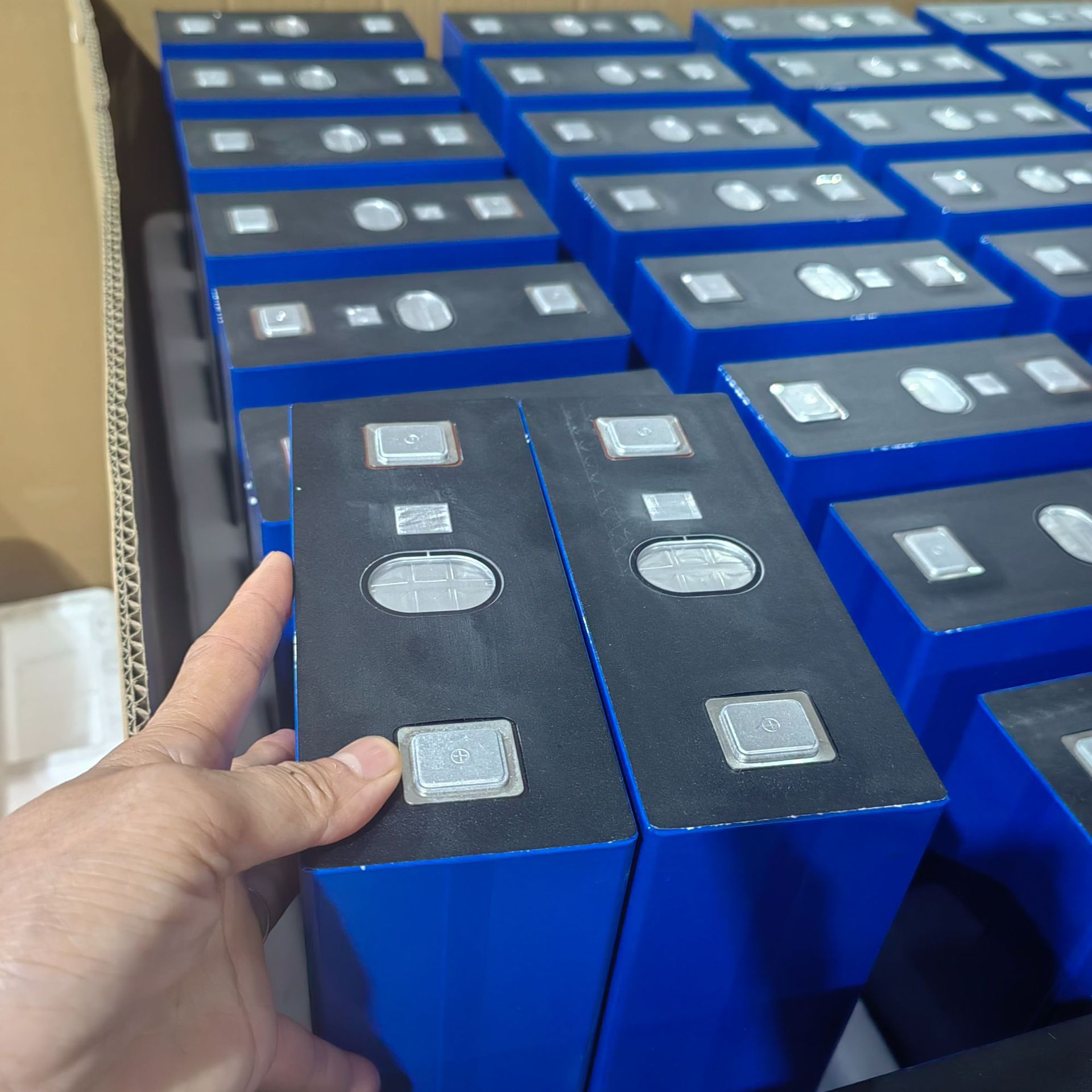 ce5e8b65cdea55c9fc459e7bdc3108