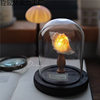 Gift Sea Urchin Mid-Autumn Festival Retro Lamp Night Light Handmade DIY Material Shell Conch Ornaments Ocean Bag Island