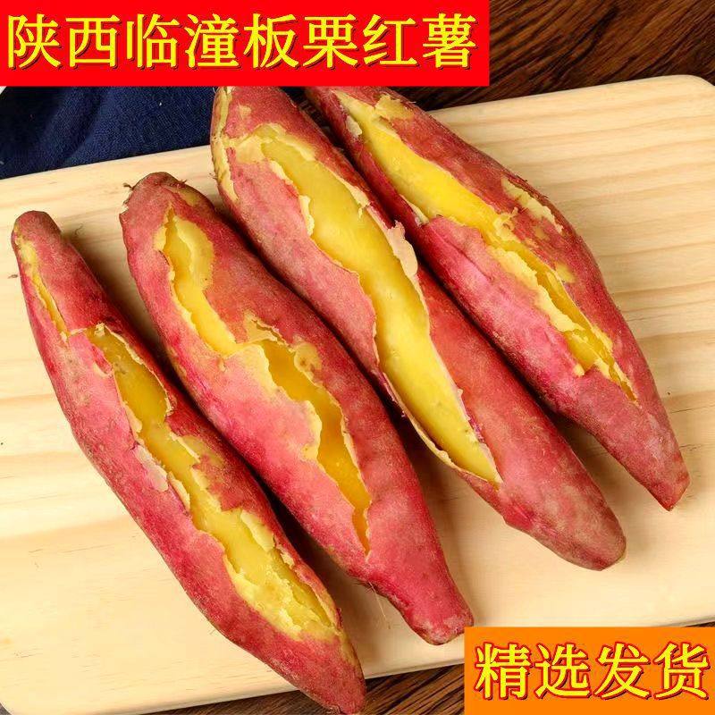 Shaanxi Linzhou Chestnut Sweet Potatoes Fresh Sandy Floor Chestnut Sweet Potatoes Fresh Sweet Potatoes Wholesale Cross-Border E-Commerce