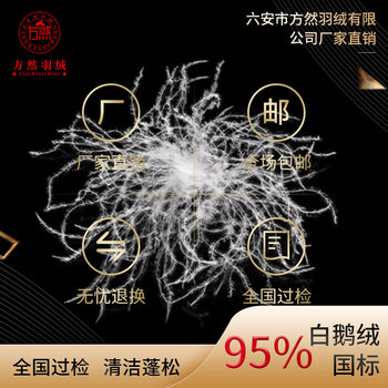 Down Manufacturer Direct Sales Washed 95% White Goose down 2021 National Standard 95% down Clothing Standard Filling High Loft down