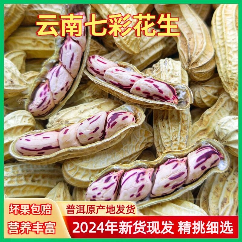 Wholesale new colorful peanuts dried in the sun with shells Yunnan Pu 'er colorful peanuts can be distributed on behalf of 500g