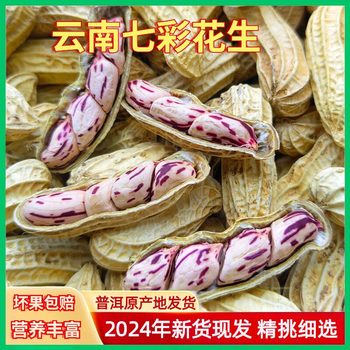 Wholesale new colorful peanuts dried in the sun with shells Yunnan Pu 'er colorful peanuts can be distributed on behalf of 500g