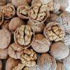 Wholesale 2025 Xinjiang Specialty Aksu Wenxu 185 Thin-Skinned Walnuts, Original Ecological, Easy to Open by Hand, 2.5kg Fragrant and Crispy