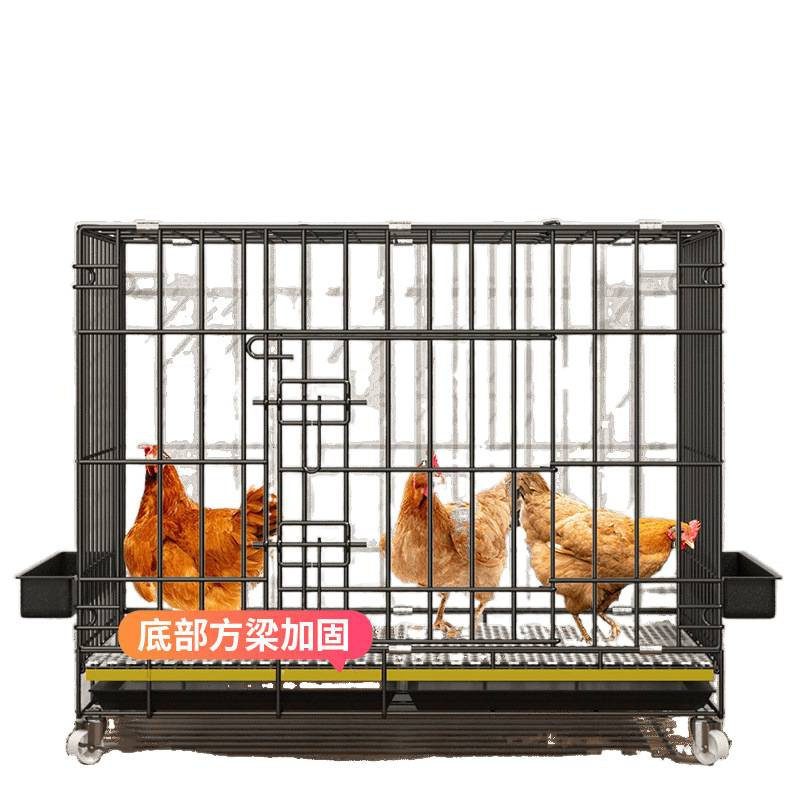 Chicken Cage for Home Use, Large Outdoor Square Tube with Dense Mesh, Rainproof, Rural Quail Automatic Waste Cleaning Breeding Cage, Fox-Proof