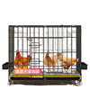 Chicken Cage for Home Use, Large Outdoor Square Tube with Dense Mesh, Rainproof, Rural Quail Automatic Waste Cleaning Breeding Cage, Fox-Proof