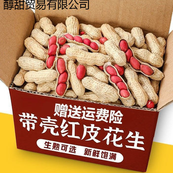 2025 New Arrival New Red-Skinned Raw Peanuts with Shells Fresh Sun-Dried Original Peanuts Stir-Fried in Iron Pan Farm Peanuts