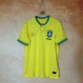 2223 brazil home