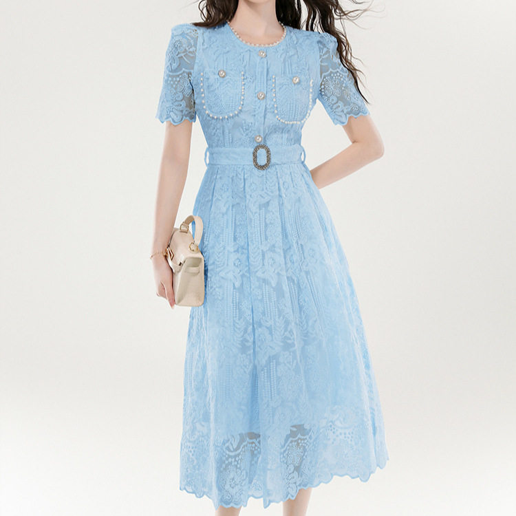 Elegant French Style Lace Embroidered Short Dress Waist Cinching Design Fashionable Silhouette Ideal for Parties