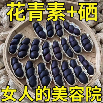25 Years Original Selenium-Rich Black Peanuts with Shells, Small Black Peanuts, Sweet Black Skin Healthy Snacks 500g Yunnan Specialty