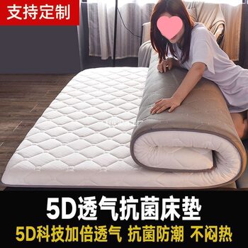 Fale Velvet Mattress Thickeneded Tatami Sponge Mat Single and Double Dormitory Mat Bedding Memory Foam Mat Floor Covering
