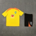 2526 brazil yellow