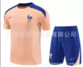 2526 short sleeve french pink