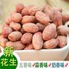 Baked New Five-Spice Peanuts, Shandong Specialty Multi-Flavor Casual Roasted Peanuts, Fragrant Milk Roasted Seeds and Nuts, Net Weight Snacks
