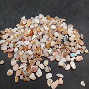 500g Irregular Shell Stone Terrazzo Floor Aggregate Colorful Seashell Chips for Crafts Handmade Making