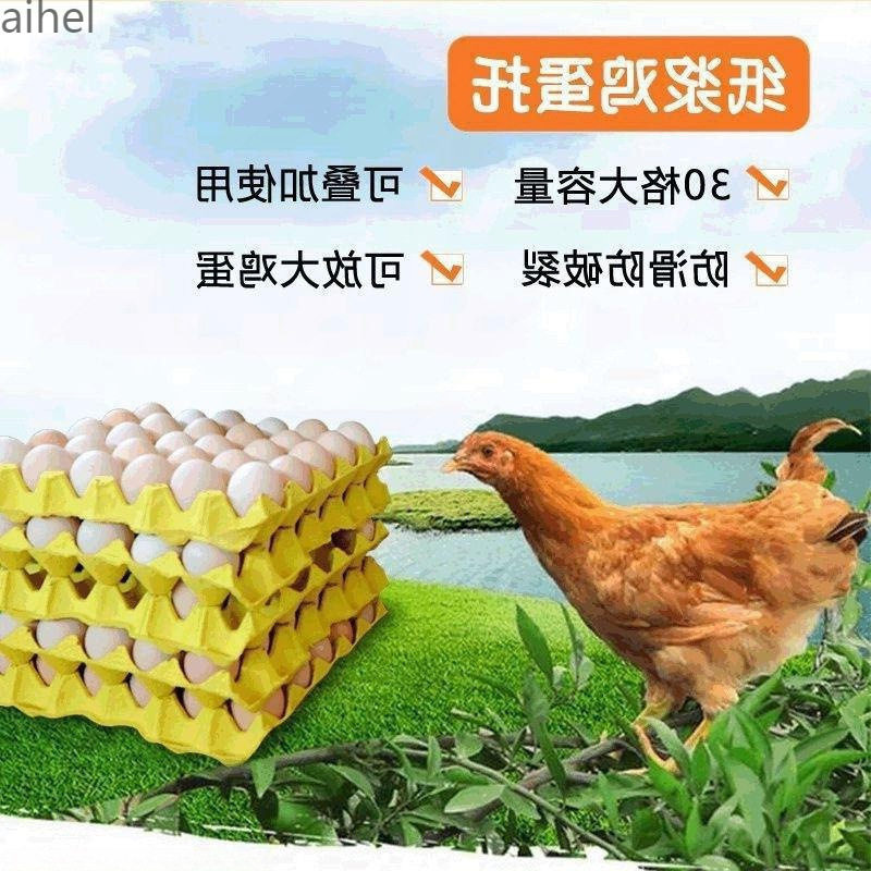 Paper Pulp Egg Tray Manufacturer Direct Sales Tray Packaging Box Paper Tray Kindergarten Handmade Transportation Egg Tray