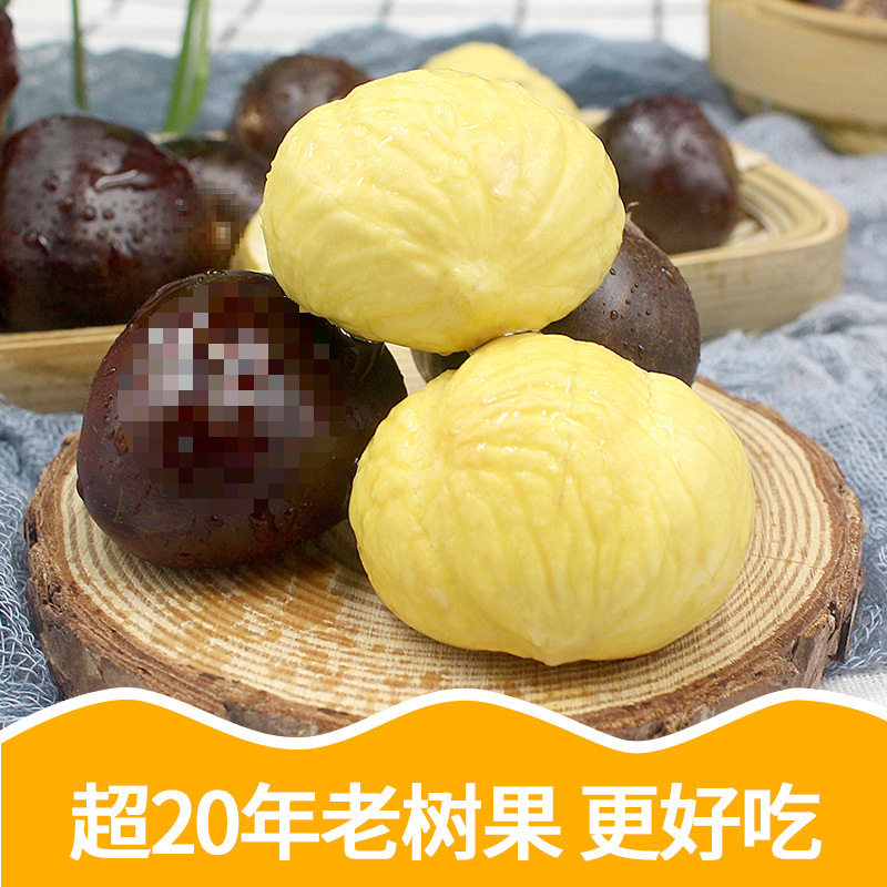 Dandong Chestnuts, Fresh Chestnuts, Tender and Large Chestnuts, Farm Orchards, Freshly Picked Chestnuts from the Tree