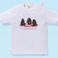 Sakura camping white