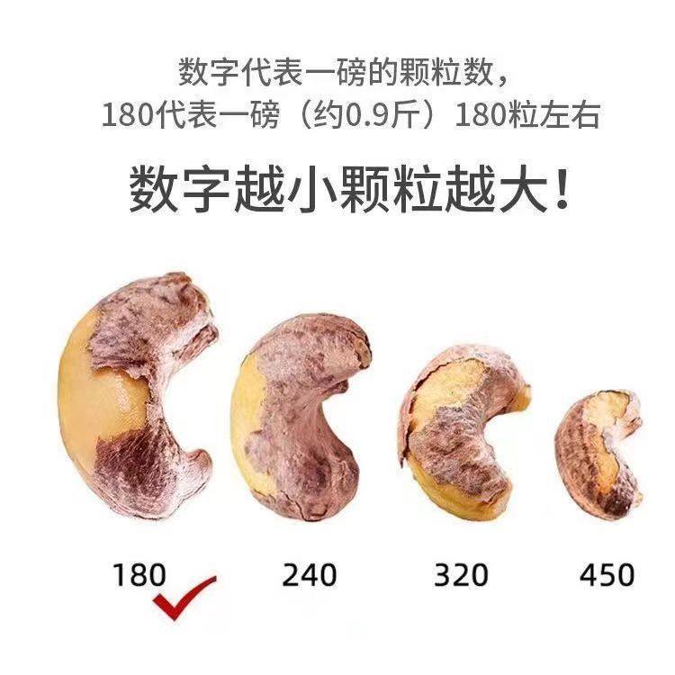 [New Arrival] Large Vietnamese Salted Peeled Purple Cashew Nuts Dried Fruit New Year's Casual Snacks Wholesale Hot Style