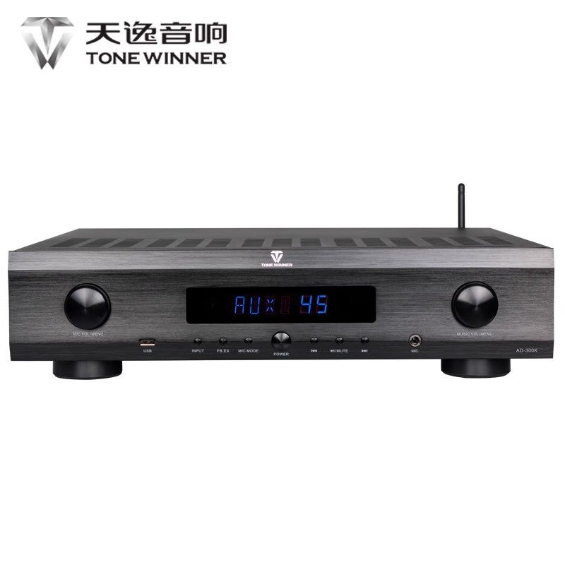 Winner/Tianyi AD-300K Multifunctional Bluetooth Digital Karaoke Amplifier Professional Home Karaoke