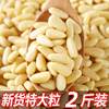 New Arrival of Pine Nut Kernels Ready-To-Eat Northeastern Pine Nuts Russian Commercial Raw and Cooked Red Pine Nuts Official