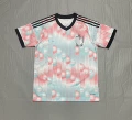 2627 belgium away