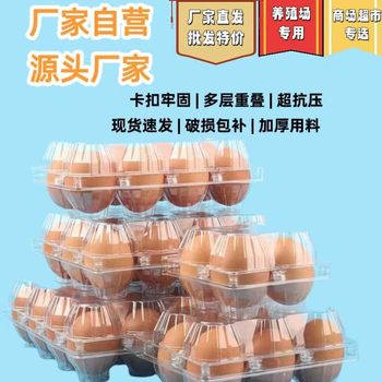 Plastic egg packaging box transparent disposable egg tray egg box