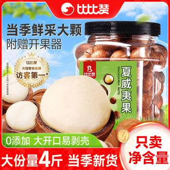 Bibi Zan Macadamia Nuts 2025 Roasted Seeds and Dried Fruits Cream Original Flavor Snack Leisure Food Wholesale by