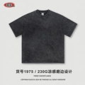 S1975-Fried Snowflake