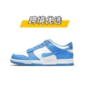 Dunk-university blue
