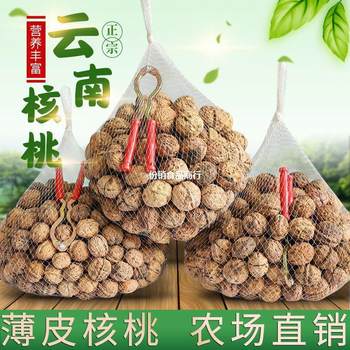 New Yunnan thin-skinned walnut paper walnut thin-skinned pecan multi-specification leisure snacks wholesale cross-border e-commerce