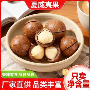 Wholesale Macadamia Nuts 500g Creamy Flavor Premium Macadamia Nuts Dried Fruit Bulk Weighing Original Flavor Nuts