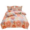 Class a Printed Milk Velvet Four-Piece Set Thickeneded Warm Velvet Set Quilt Cover Fleece-Lined Bed Four-Piece Set Nantong Home Textiles