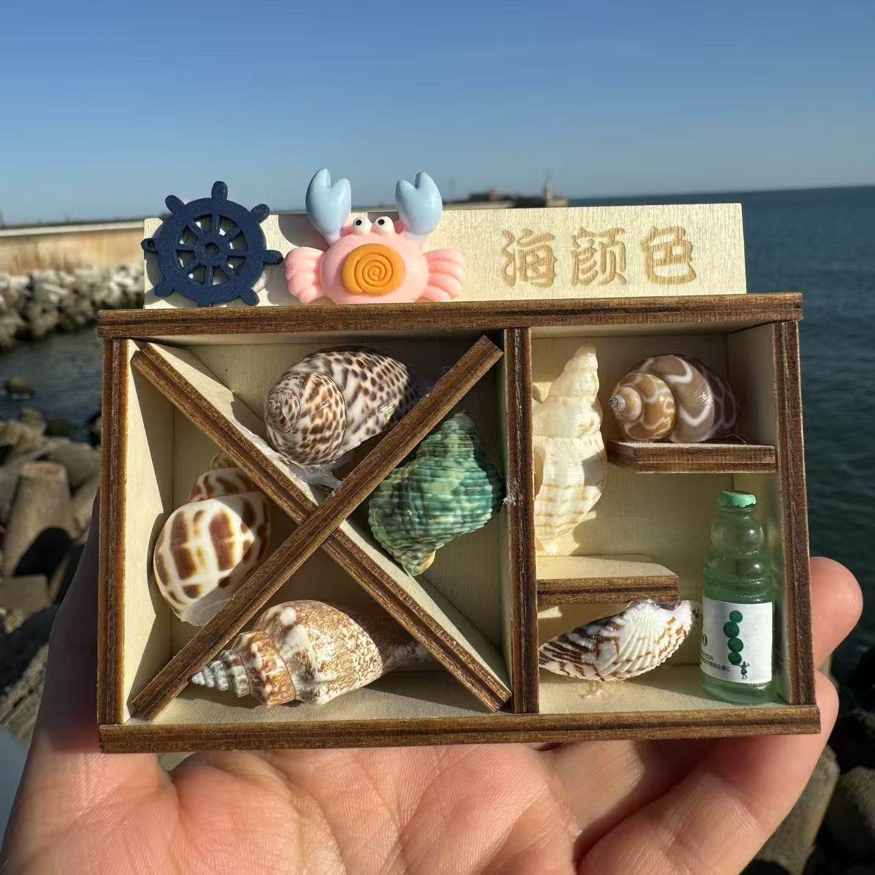 Natural Conch Shell Refrigerator Stickers Souvenir Features DIY Wenchuang Seaside Gift Jewelry Crafts Mediterranean