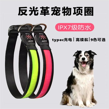 Led Reflective Leather Ipx7 Waterproof Typec Charging Pet Luminous Collar Lattice Dog Collar Electric Dog Collar Night
