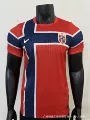 Player, 2627norway home