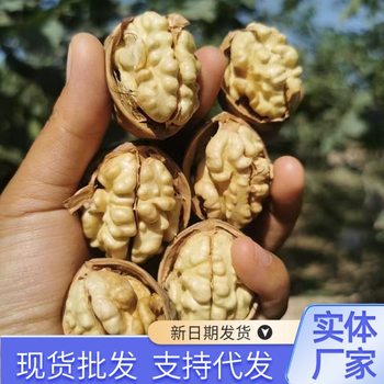 Wholesale Xinjiang Paper-Skinned Walnuts Aksu Dried Fruits Thin-Skinned Large Walnuts Nuts Snacks for Pregnant Women