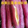 Shaanxi Linzhou Chestnut Sweet Potatoes Fresh Sandy Floor Chestnut Sweet Potatoes Fresh Sweet Potatoes Wholesale Cross-Border E-Commerce