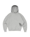 Gray sweatshirt