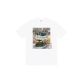 10 white