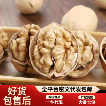 Xinjiang Paper-Skinned Walnuts 2025 New Walnuts, Plump and Large Particles, Ready to Open with Hand, Aksu Thin-Skinned Raw Walnuts