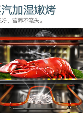阿诗顿库克蒸汽加湿嫩烤不锈钢