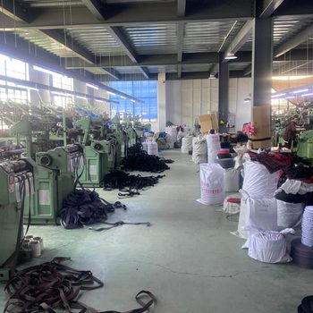 Customized United States Polypropylene Webbing, Polyester Webbing, Binding Tape, Aramid High-Strength Webbing, Environmentally Friendly Nylon Tape