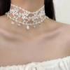 Sweet White Lace Wide Neck Strap Neck Chain Water Drop Tassel Simple Elegant All-match Collar Necklace Women's Necklace Accessories