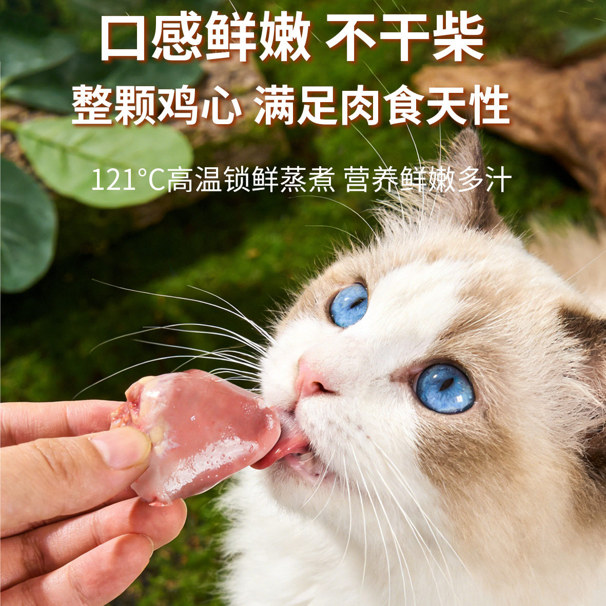 派斯乐宠物蒸煮鱼油鸡心猫狗通用肉类奖励狗狗零食,淘宝优惠券,粉丝福利购,淘宝优惠卷