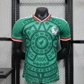 2627mexico home