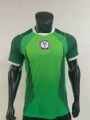 26 nigeria home jersey - player edition