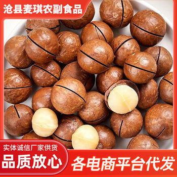 One-Piece Drop-Shipping New Product: Macadamia Nuts with Creamy Flavor, Shell-Free, Canned Nuts, Large Kernels, Children's Snacks