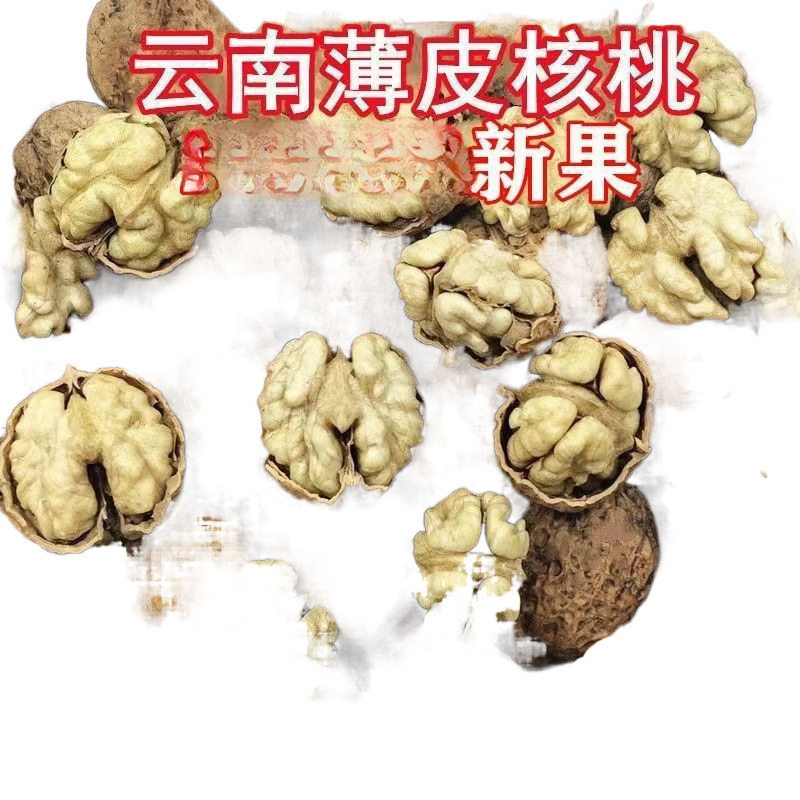 Yunnan Walnut New Arrival Paper Thin Shell Unbleached Paper Dry Pecan Paper Shell Wholesale Delivery